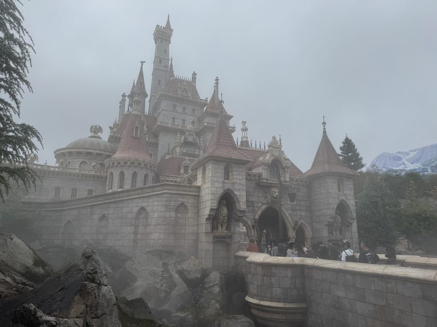 The Beast&rsquo;s Castle