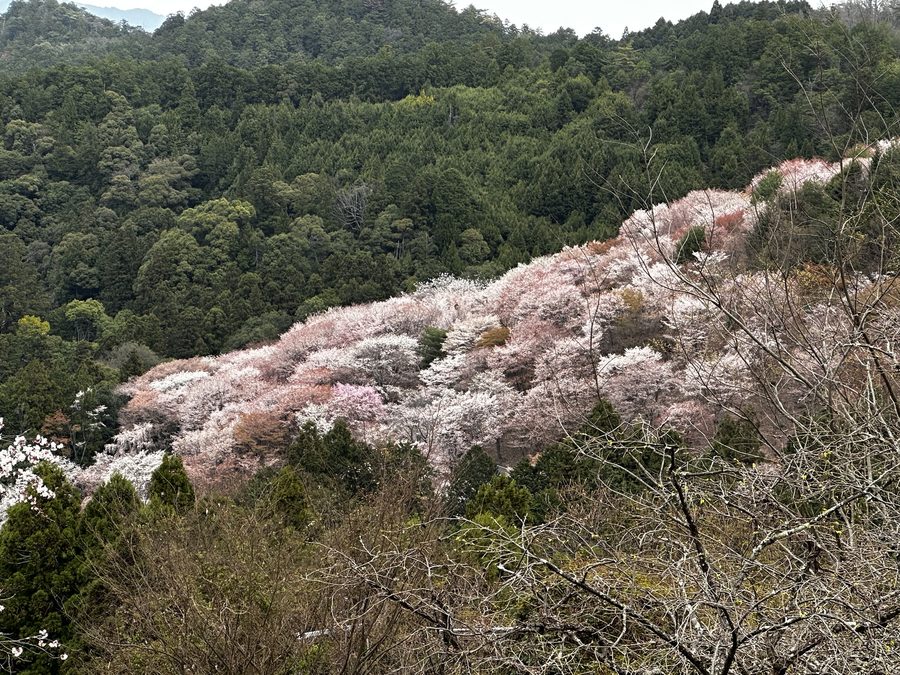 The Middle Slope